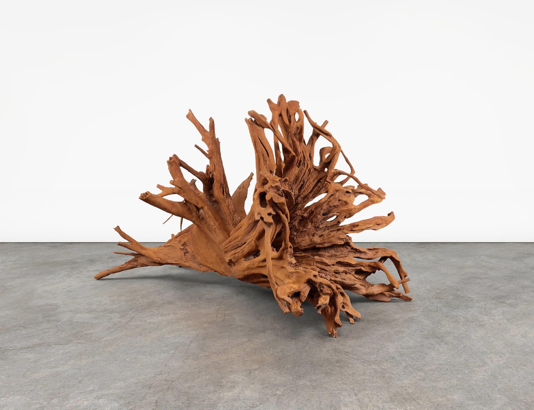 Ai Weiwei: Roots