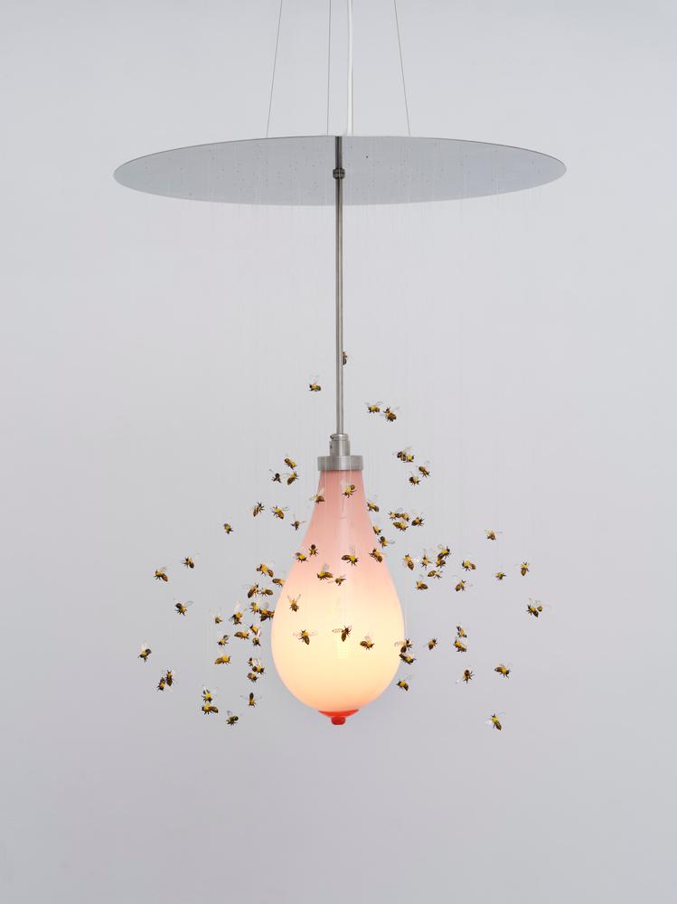 Hive seen you by Laure Prouvost