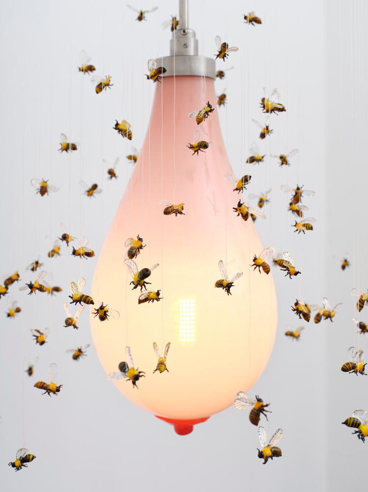 Hive seen you by Laure Prouvost