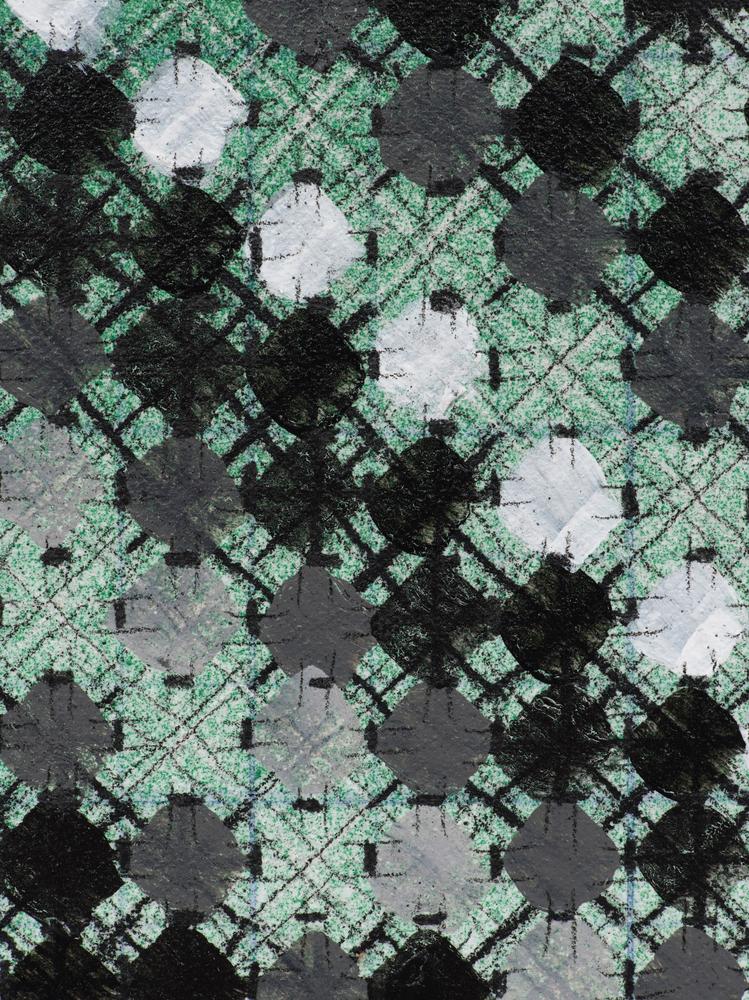 Appearance of Crosses 2025-15 by Ding Yi