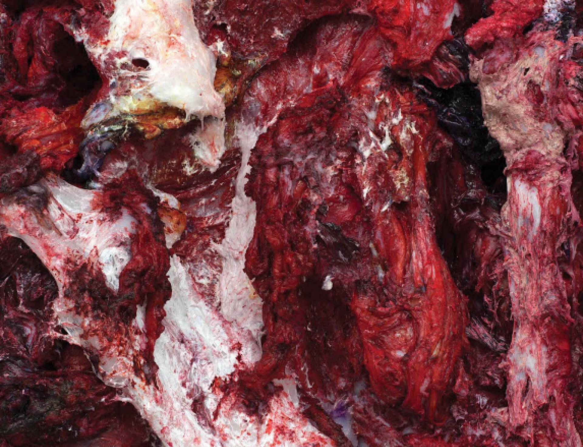Anish Kapoor & Rembrandt