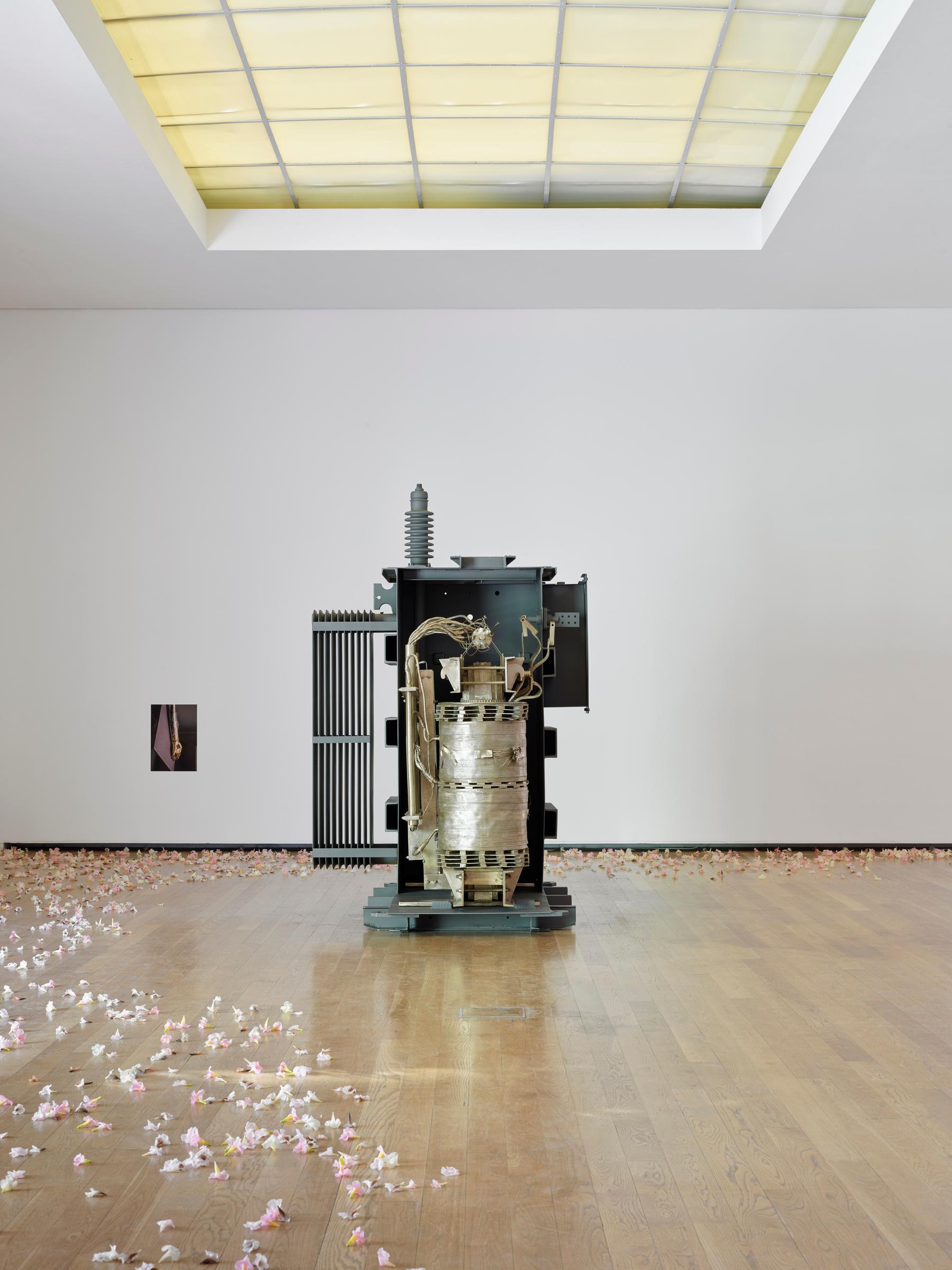 Blackout by Allora & Calzadilla