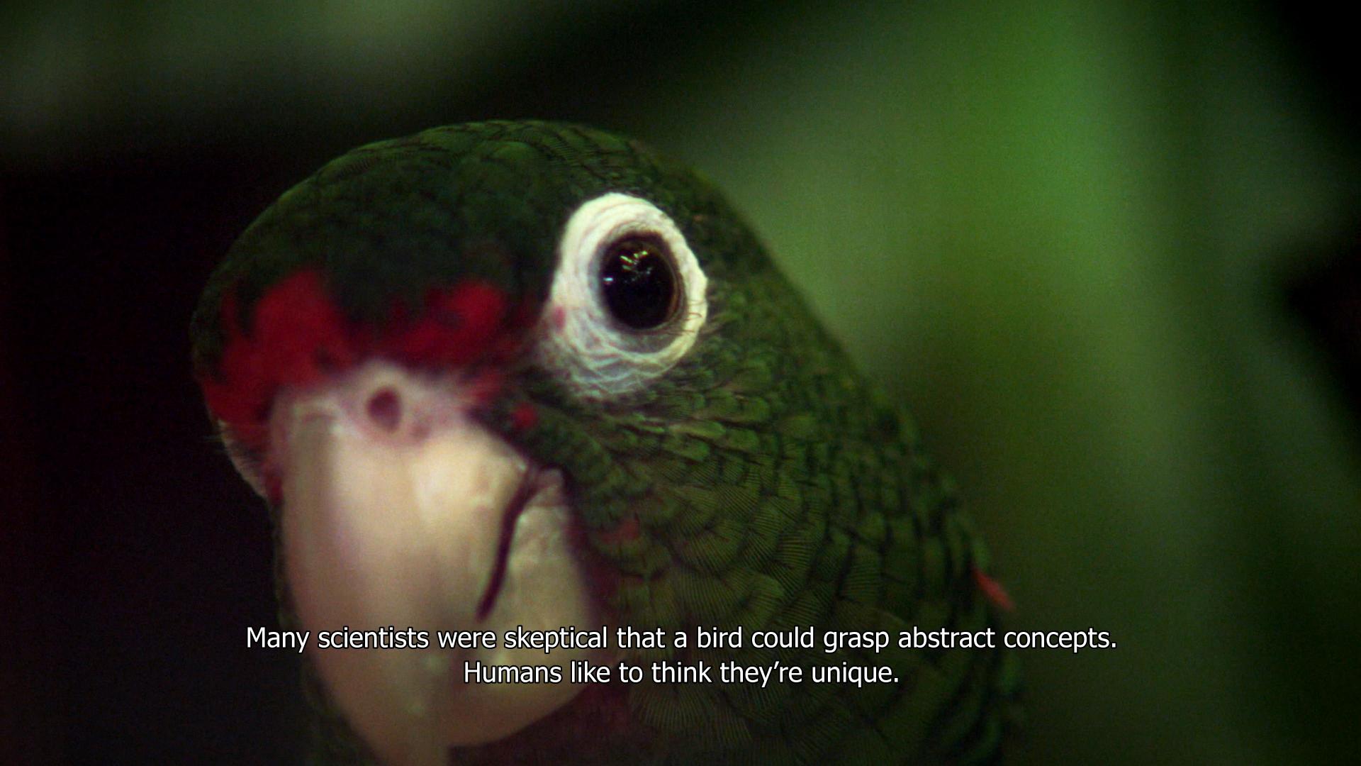 The Great Silence by Allora & Calzadilla