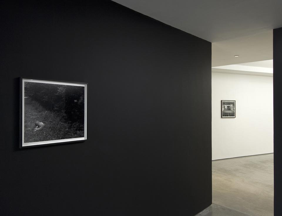 Gerard Byrne: more archetypal forms